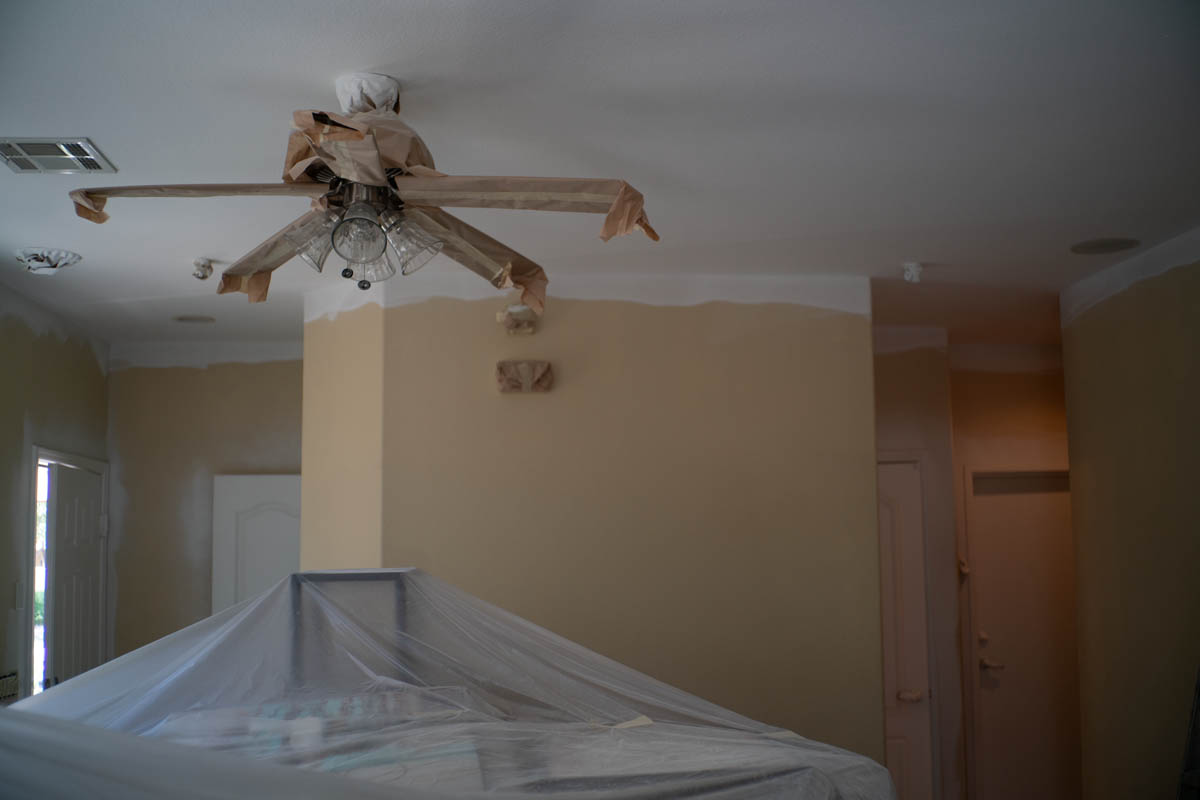 Interior House Painter & Painting