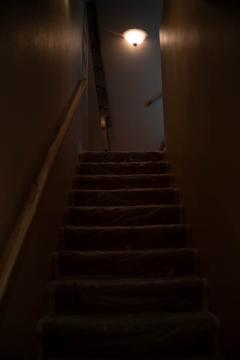 Interior House Painter & Painting