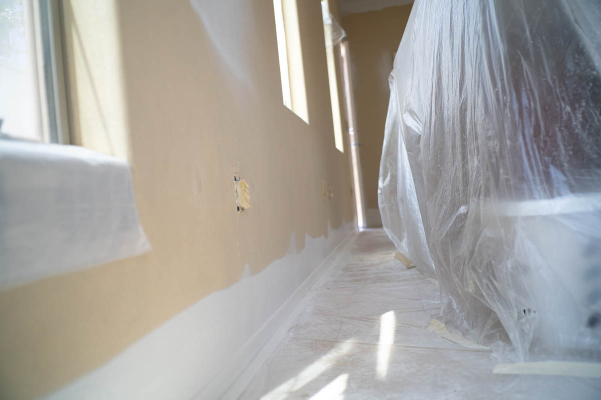 Interior House Painter & Painting